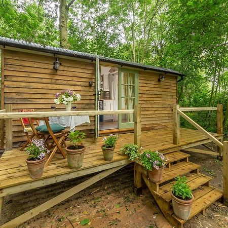 Woodland Retreat Shepherds Hut Villa Brundish Екстериор снимка